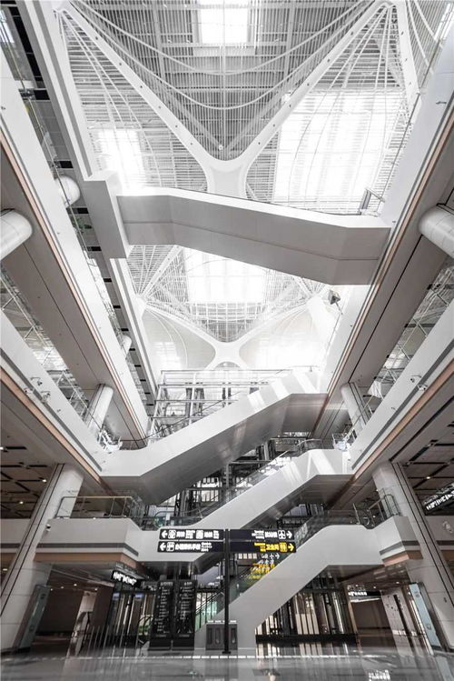 青島再添中國建設(shè)工程最高榮譽(yù)魯班獎項(xiàng)目 德才股份榜上有名