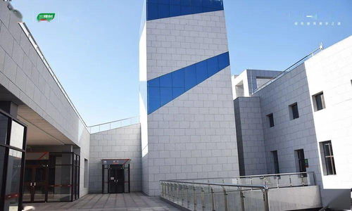 綠色冬奧,美麗中國 三棵樹助力延崇高速項目圓滿完成