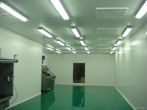 廠家承接食品 化妝品 日用品 藥品無菌車間凈化工程圖片 高清大圖 谷瀑環(huán)保