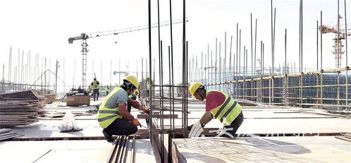 打造皖西南地區(qū) 大廚房 綠色農(nóng)業(yè)軍民融合食品產(chǎn)業(yè)項(xiàng)目建設(shè)提速