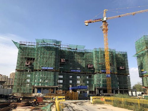 瑞海 國(guó)府大院9月11日最新工程進(jìn)度播報(bào)