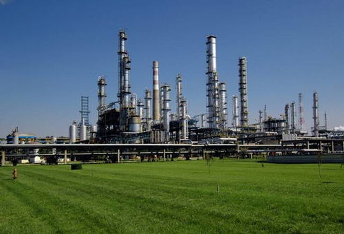 中石油廊坊管道局醫(yī)院ddc樁或sddc樁工程