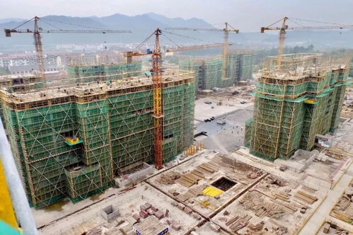 建筑工程質(zhì)量潛在缺陷保險 idi ,國際和國內(nèi)情況