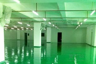 【地坪漆/環(huán)氧地坪漆施工技術(shù)--番禺專業(yè)地坪工程公司】-廣州