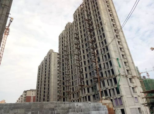 家音播報(bào) 每一次相見,都是幸福的臨近